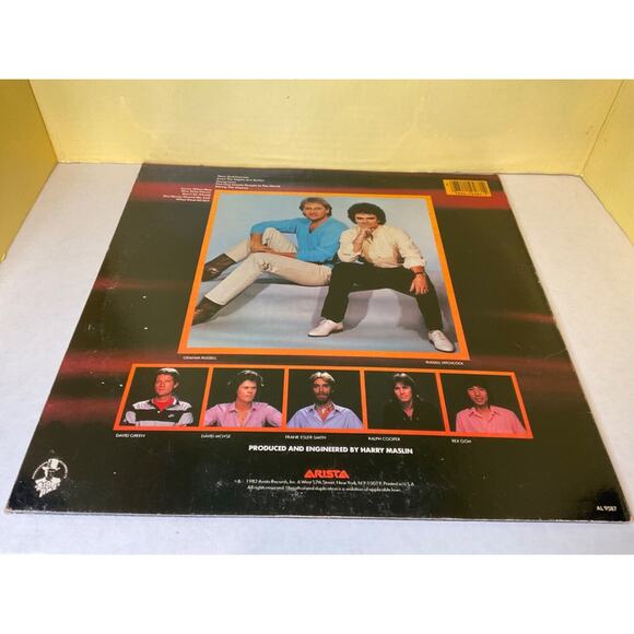 VINTAGE VINYL RECORD - AIR SUPPLY: NOW AND FOREVER - Picture 2 of 8